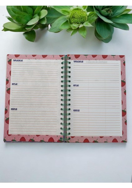 Kedi Tasarımlı Konuşan Ajanda /zamansız Planlayıcı Sert Kapak Ajanda modelleri