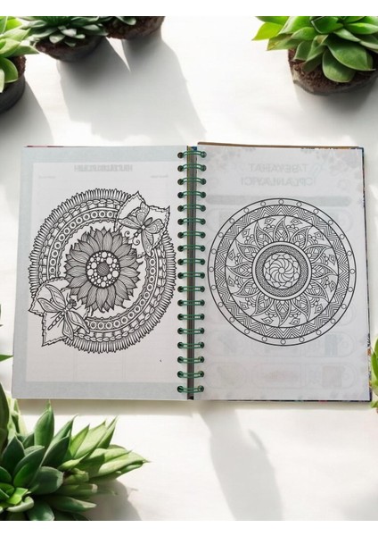 Kedi Tasarımlı Konuşan Ajanda /zamansız Planlayıcı Sert Kapak Ajanda fırsatları