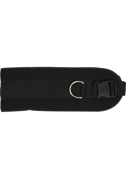 Zincir Spor Salonu Kemeri ile 2x Daldırma Kemeri Halter Için Halter Eğitim Salonu Aksesuarları Için Tokalı Kemeri Çektirin (Yurt Dışından) indirimleri