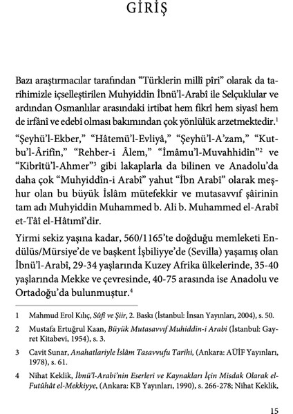 Türk Şiirinde Şeyh-i Ekber - Selami Şimşek indirimleri