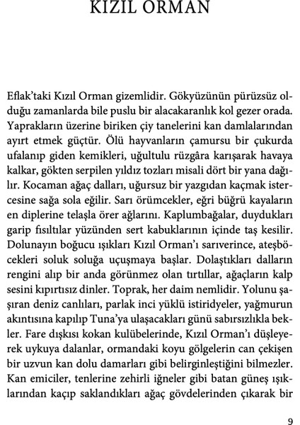 Gölge Yontusu - Alkan Kılıç indirimleri