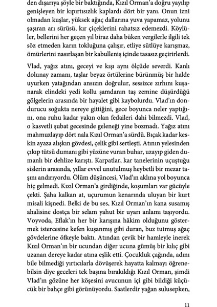 Gölge Yontusu - Alkan Kılıç