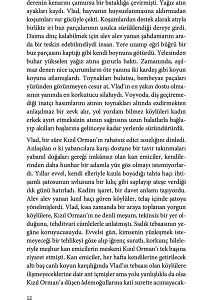 Gölge Yontusu - Alkan Kılıç