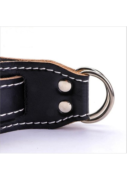 Ayarlanabilir Spor Salonu Ayak Bileği Kayışları Fitness Kablo Makineleri Egzersiz Ayak Bileği Ağırlıkları Eğitim Işleri Bacaklarda Kalçalar (Yurt Dışından) modelleri