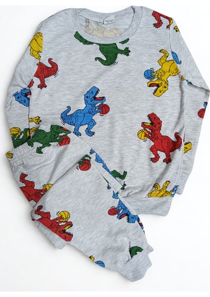 Erkekçocukdinazorve Top Desenli Uzunkollu Gripijama Takımı