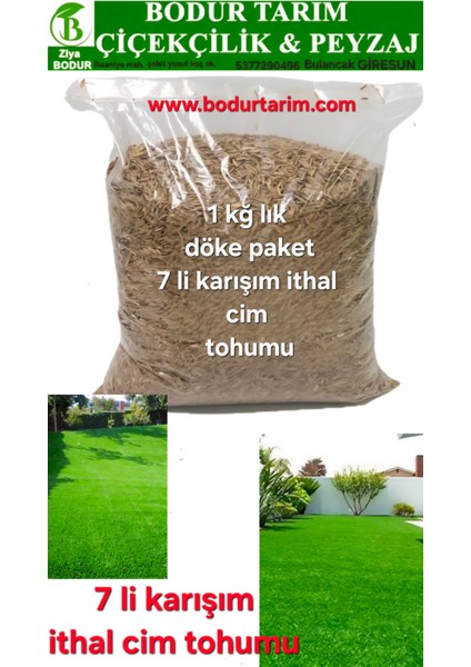 Bulancak 7 Li Karışım Ithal 1 Kğ Lık Döke Paket Çim Tohumu