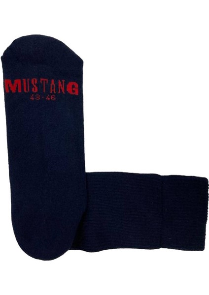 4lü Çorap Seti MKL-1926 fiyatları