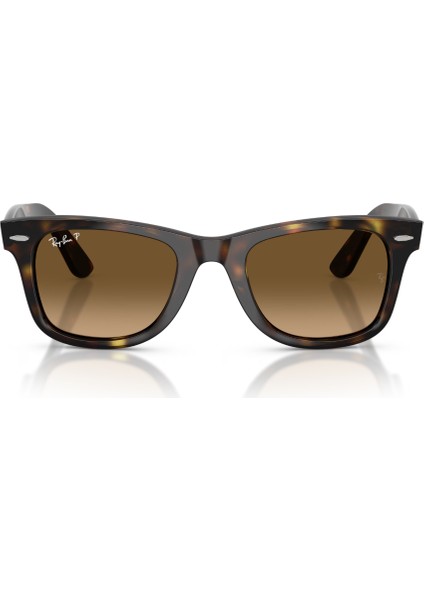 Rb 4340 710/M2 50 Ray-Ban Wayfarer Ease Polarize Güneş Gözlüğü indirimleri