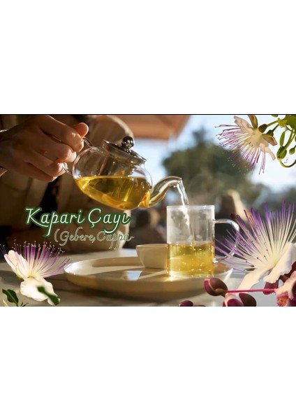 Kapari Dökme Çayı (PATENTLİ) 70 GR.