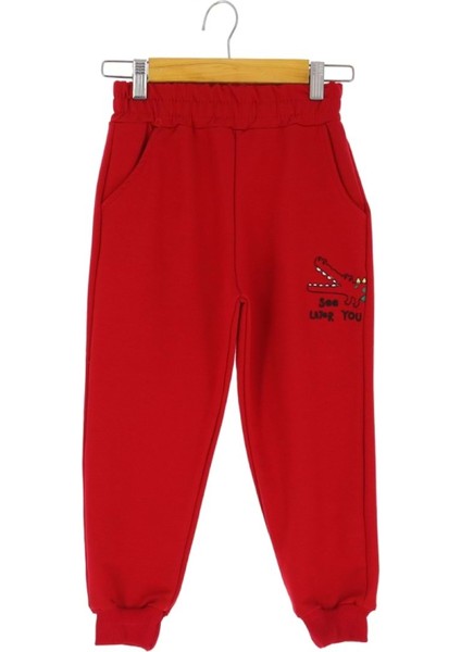 Dinozor See Later You Nakışlı 30/150 2 Ip Erkek Eşofman Alt - Kırmızı - 5 Yaş - ATA30729.0-KIRMIZI-5 Yaş Kırmızı