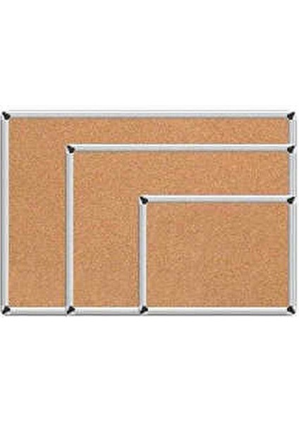 Mantar Pano 60x90 cm Duvara Monte Tekil Ürün Estetik Metal Çerçeve fiyatları