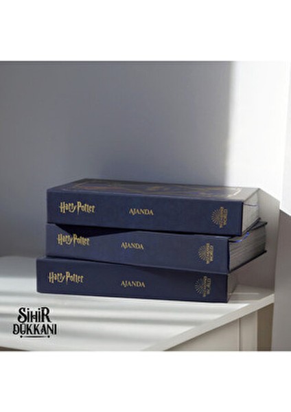 Harry Potter Ajanda 2025 Özel Tasarım Mavi Kapaklı 1 Adet indirimleri