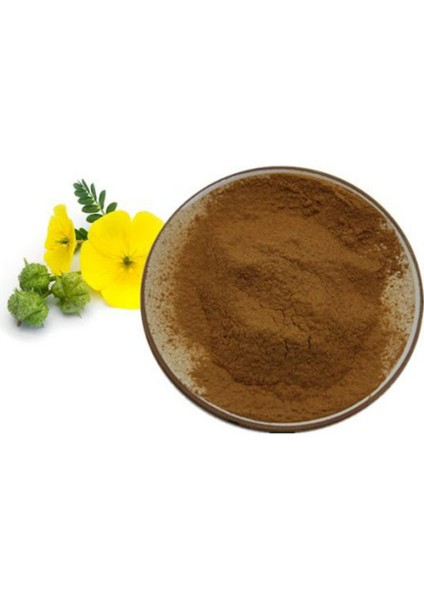 Çoban Çökerten Ekstrakt 250 Gr. fiyatları