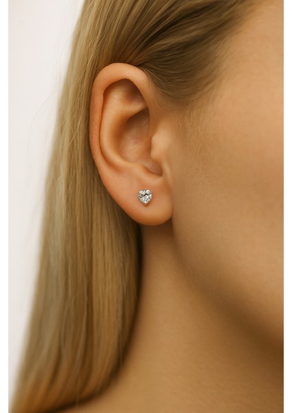 Crystal Pave Heart Gümüş Küpe fiyatları