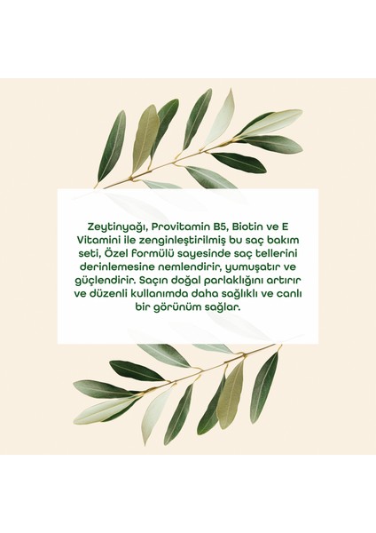 Zeytinyağlı Saç Bakım Seti modelleri