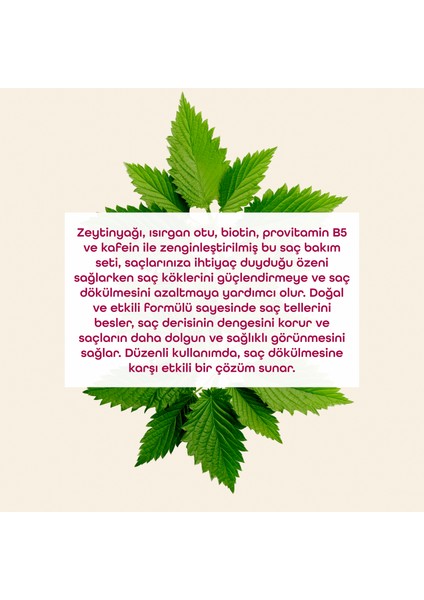 Isırgan Otlu Saç Bakım Seti modelleri