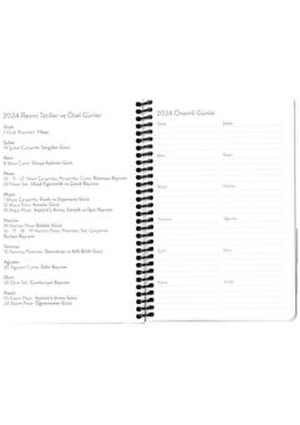 Hisli Şeyler Haftalık Ajanda 2024 13x19,5 cm Mor Renkli Tasarım