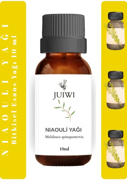 Bitkisel Uçucu Koku Yağı Difüzör Esansı Buhurdanlık Çamaşır Yağı Niaouli Uçucu Yağı 10 ml