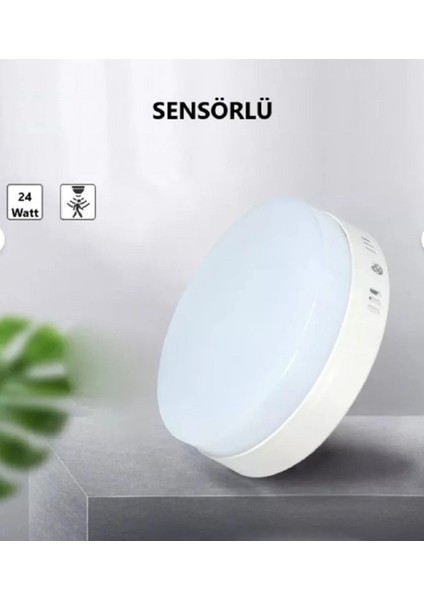 Ekim Aydınlatma Asm 1624 24W Sensörlü Çerçevesiz Sıva Üstü Yuvarlak LED Panel – 6500K Beyaz modelleri