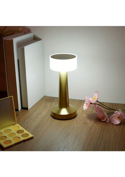 Ekim Aydınlatma Aydınlatma Denver Şarjlı Masa Lambası Dokunmatik CT-8436 modelleri