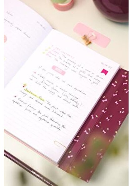 A5 Mıknatıslı Kapaklı Çizgili Defter 15x21 cm Kiraz Renk 88 Yaprak
