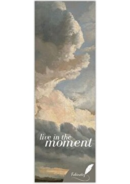 Hayvan Temalı 6'lı Kitap Ayraç Seti 5x15 cm Mat Kaplama Renkli Tasarımlar