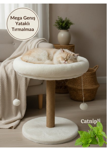 Catnipli Mega Geniş Yataklı Kedi Tırmalama Tahtası | Konforlu Peluş Kedi Yatağı | Oyun Toplu Dayanıklı Tırmalama Direği | Rahat ve Şık Tasarım”