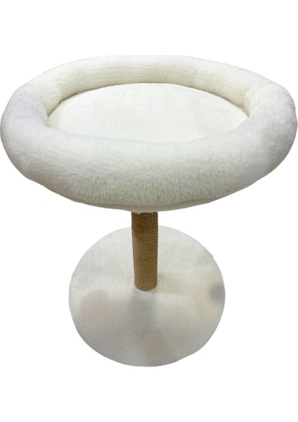 Catnipli Mega Geniş Yataklı Kedi Tırmalama Tahtası | Konforlu Peluş Kedi Yatağı | Oyun Toplu Dayanıklı Tırmalama Direği | Rahat ve Şık Tasarım” fırsatları