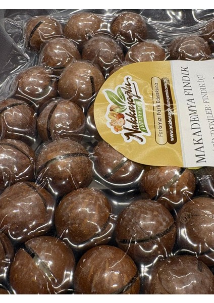 Kabuklu Makademya Fındık 1kg fiyatları