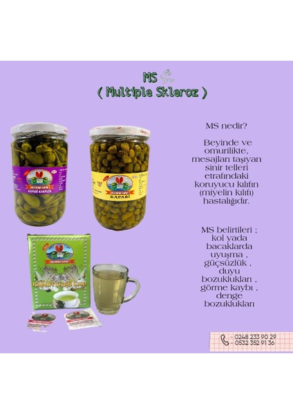 Kapari Karpuzu Meyvesi (PATENTLİ) 325 gr. fiyatları