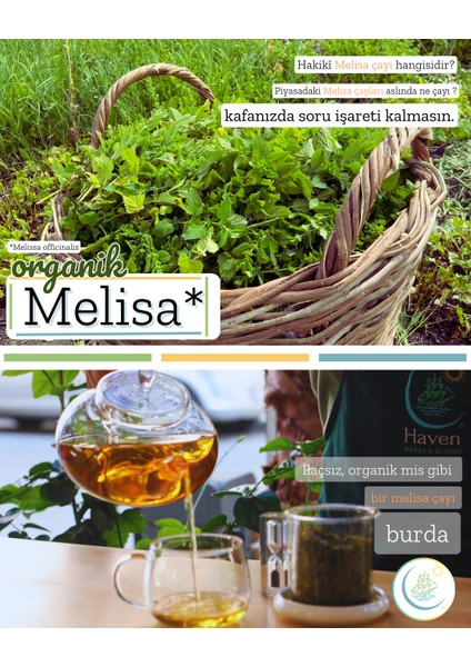 Organik Melisa 50 gr fiyatları