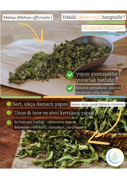 Organik Melisa 50 gr modelleri