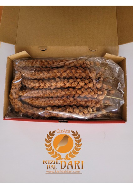 250 Gr Yerli Üretim Muhabbet Kuşu ve Papağan Yemleri fırsatları