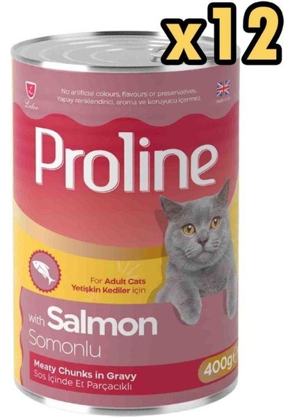 Sos Içinde Parça Somon Etli Yetişkin Kedi Konservesi 400GR x 12 Adet