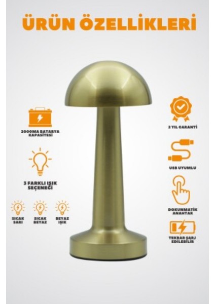 Ekim Aydınlatma Dokunmatik Mantar Masa Lambası Gold Kasa 3 Işık Renkli Şarjlı Masa Lambası modelleri