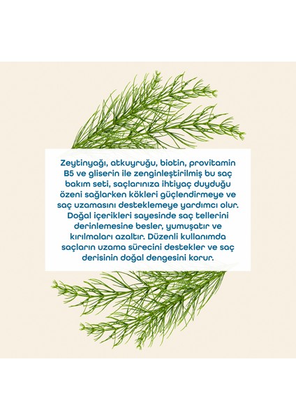 At Kuyruklu Saç Bakım Seti modelleri