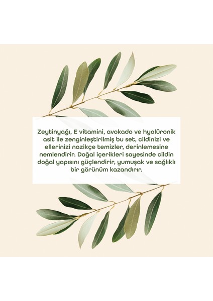Zeytinyağlı Vücut Bakım Seti modelleri