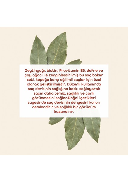 Defneli Saç Bakım Seti modelleri