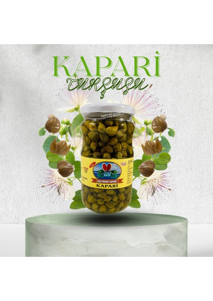 Kapari Tomurcuğu Turşusu 565 gr. modelleri