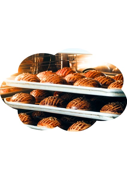 Osimix 2'li Patisserie Serisi Konveksiyonel 4'lü Buharlı Fırın ve 8'li Buharlı Mayalandırma 220 W