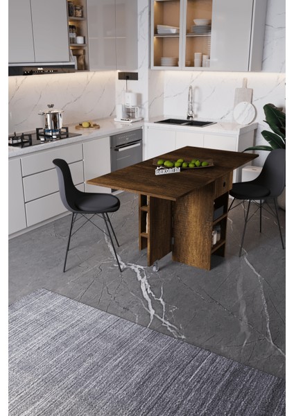 DF01102BR Portatif Pratik Katlanır Masa Mutfak ve Yemek Masası