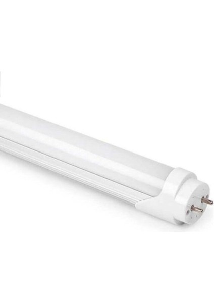 CT-4223B 9W 60 cm LED Floresan G13 6500K Beyaz Beyaz Işık E27 LED Ampul 0 - 250 Watt Yok Beyaz