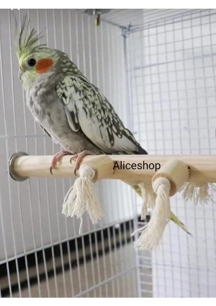 Vidalı Çiğneme Ipli Tünek 12MM Kalınlığında