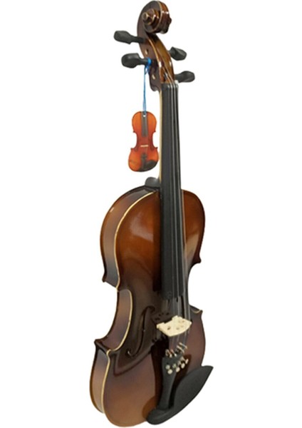 4/4 Tam Boy Keman + Yay