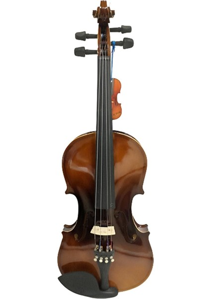 4/4 Tam Boy Keman + Yay