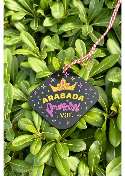 Arabada Prenses Var Baskılı Pleksi modelleri