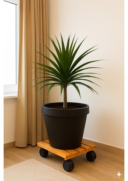 Ahşap Saksı Altlığı Tekerlekli indirimleri