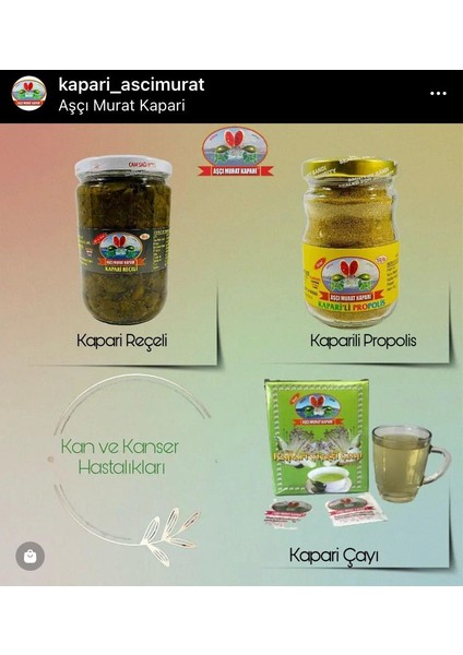 KAPARİLİ PROPOLİS (PATENTLİ) 200 GR. modelleri