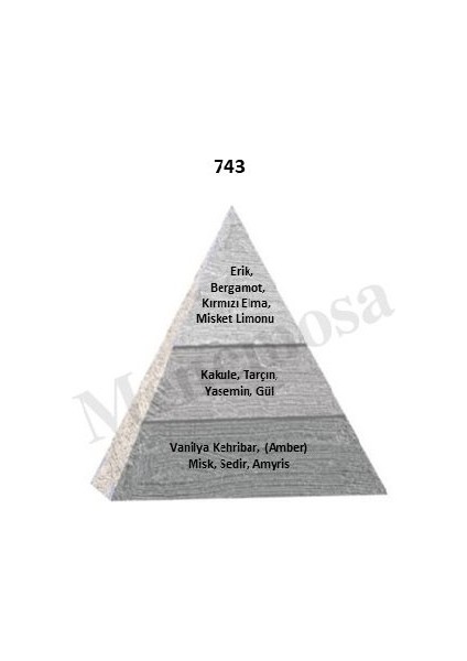743 + 509 Erkek Parfüm Edp Woody / Fresh - MNMS743509 fiyatları