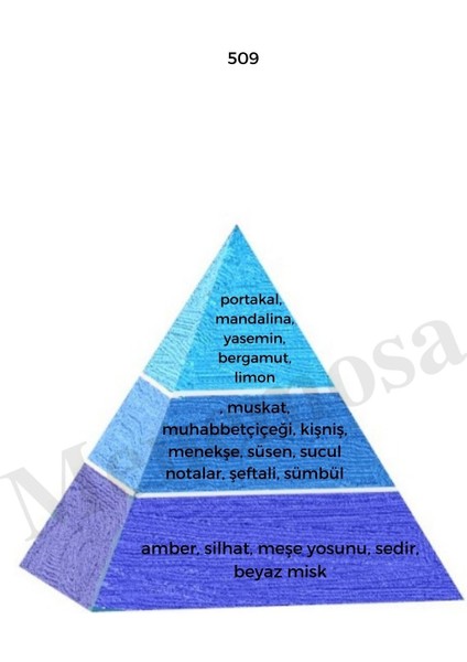 743 + 509 Erkek Parfüm Edp Woody / Fresh - MNMS743509 modelleri